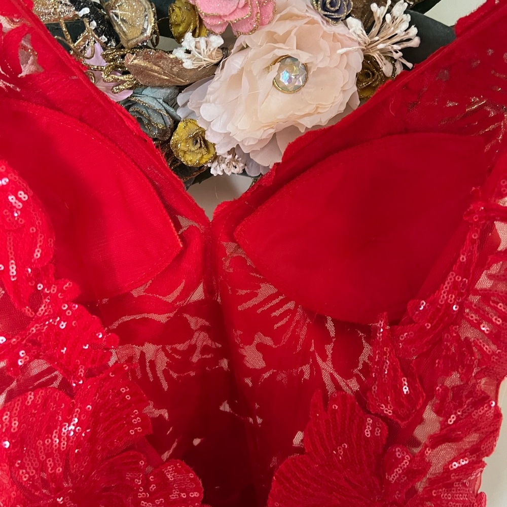 Prom / Formal Gown - Picture 4 of 6